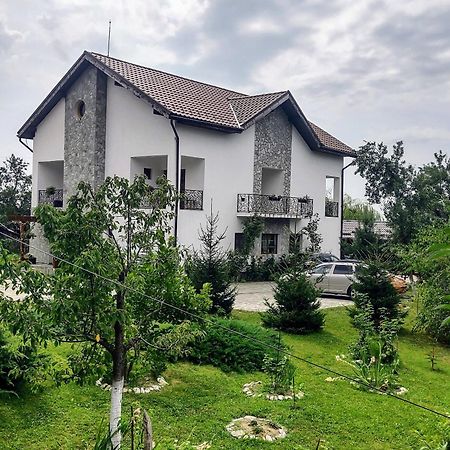 Pensiunea Codruta Cărpinişu Esterno foto