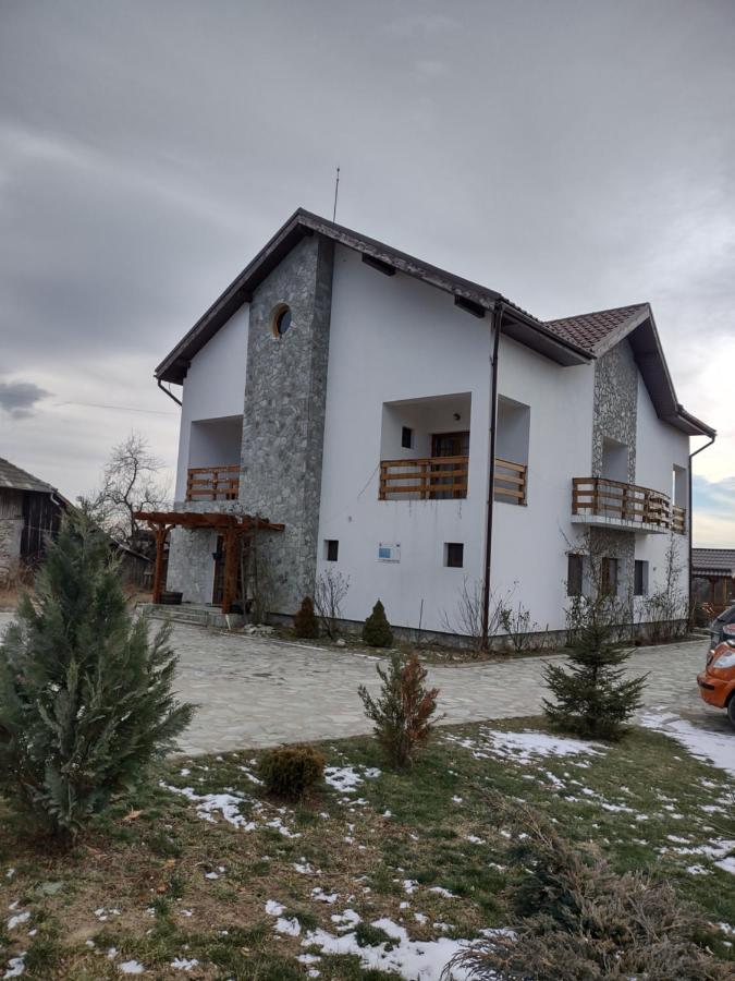 Pensiunea Codruta Cărpinişu Esterno foto