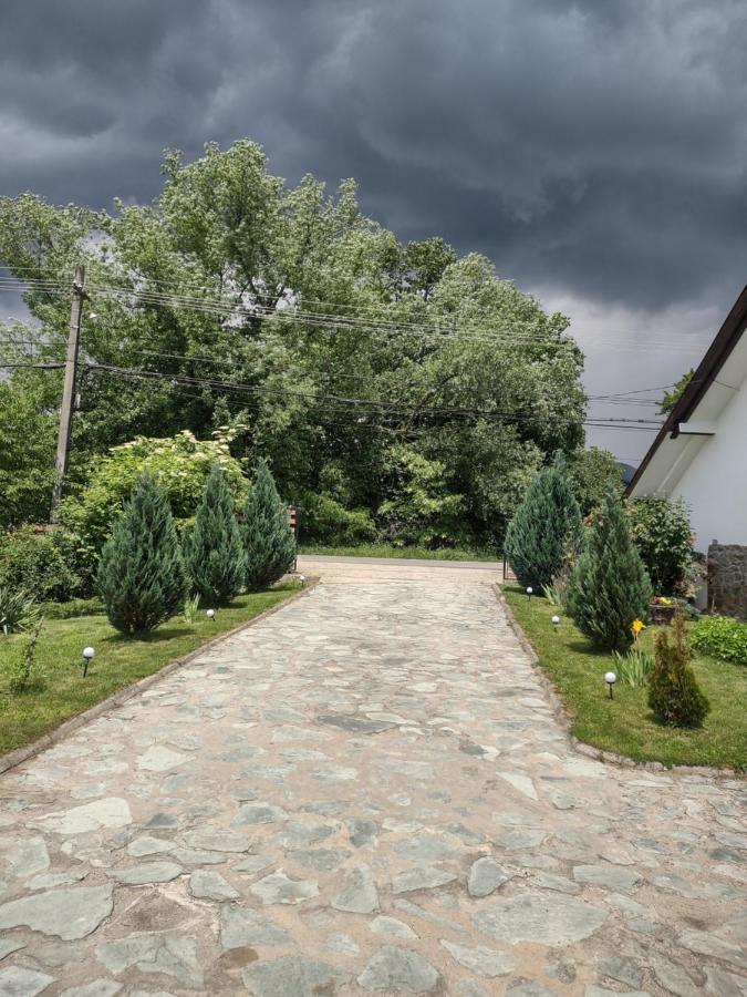 Pensiunea Codruta Cărpinişu Esterno foto