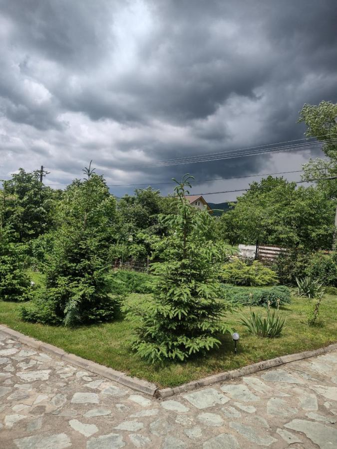 Pensiunea Codruta Cărpinişu Esterno foto