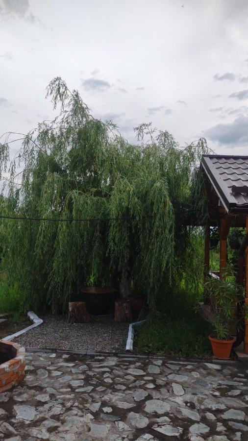 Pensiunea Codruta Cărpinişu Esterno foto