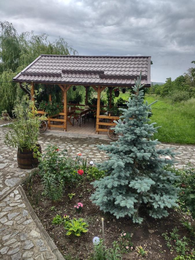 Pensiunea Codruta Cărpinişu Esterno foto