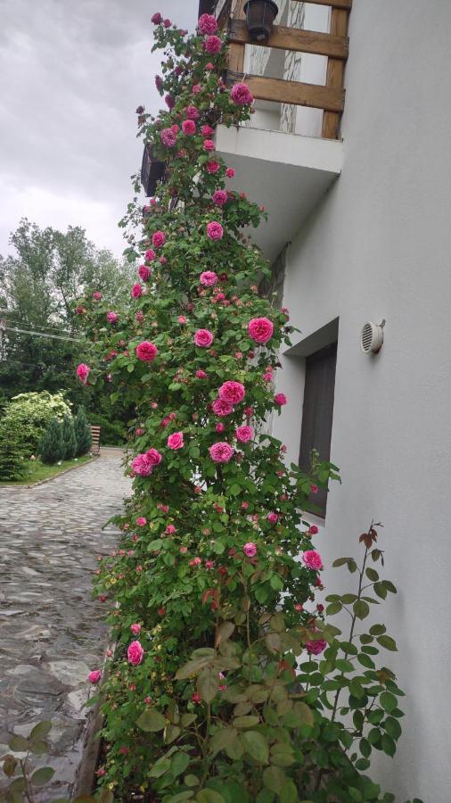 Pensiunea Codruta Cărpinişu Esterno foto