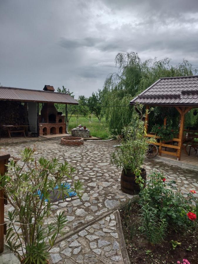 Pensiunea Codruta Cărpinişu Esterno foto
