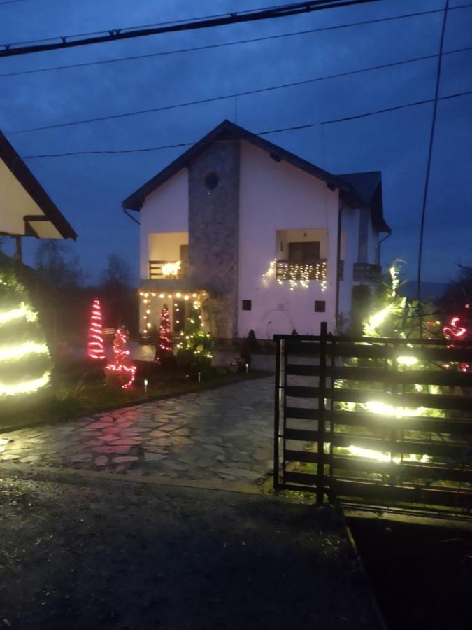 Pensiunea Codruta Cărpinişu Esterno foto