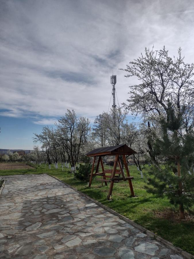 Pensiunea Codruta Cărpinişu Esterno foto