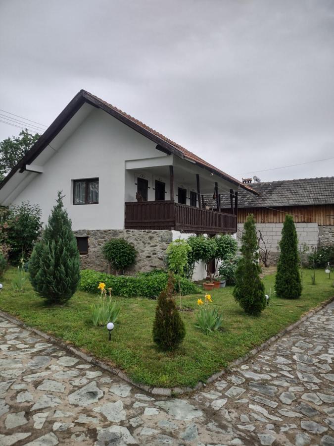 Pensiunea Codruta Cărpinişu Esterno foto