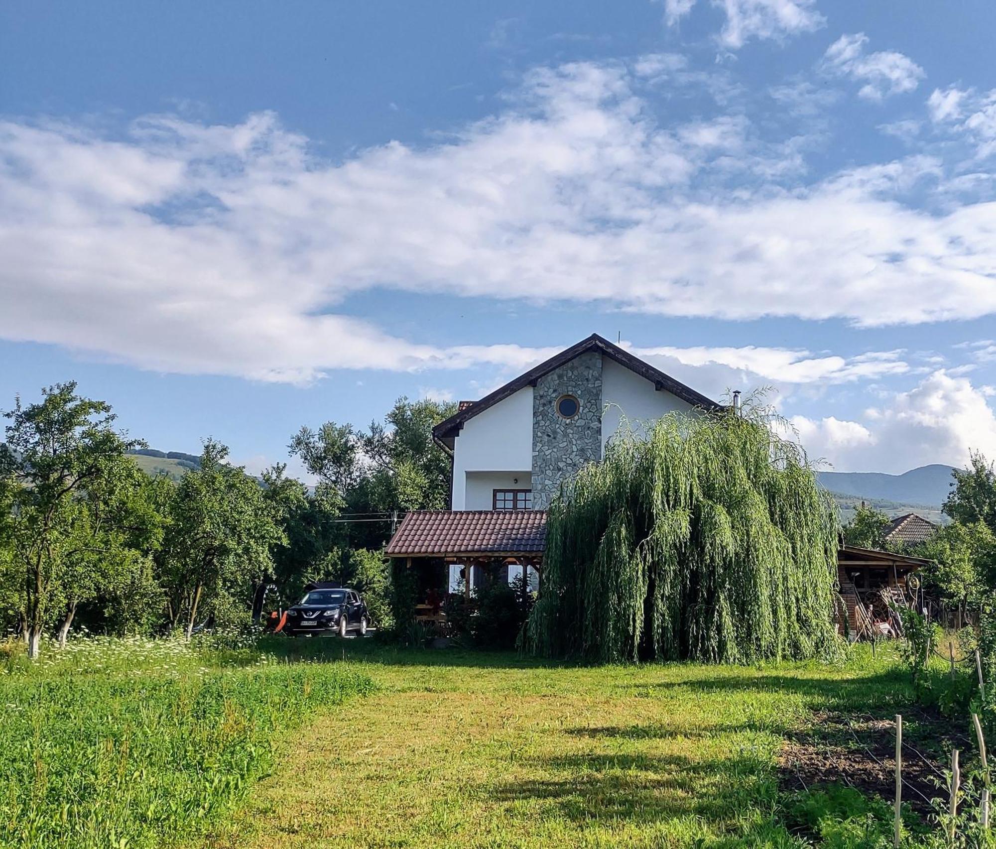 Pensiunea Codruta Cărpinişu Esterno foto