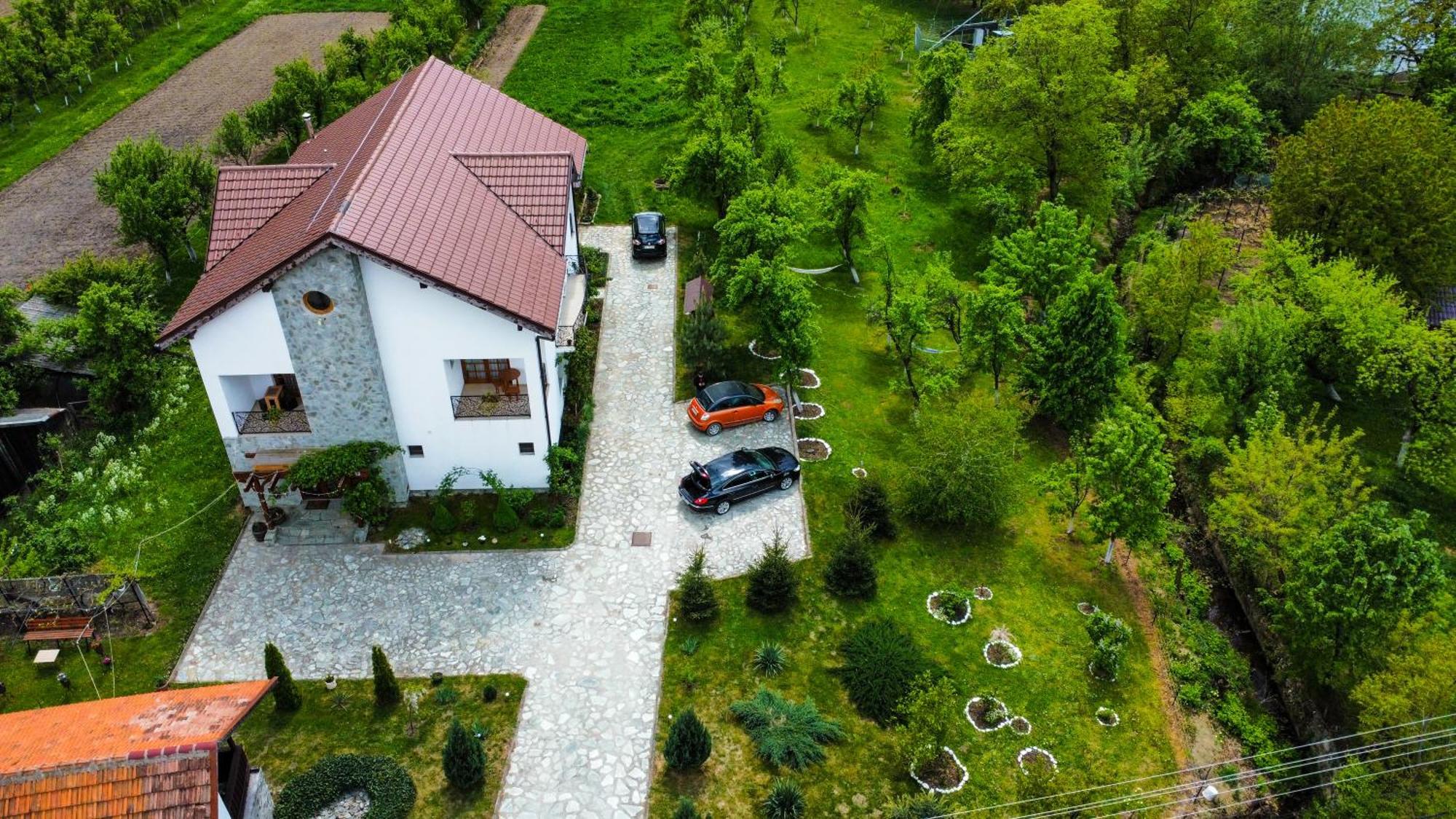 Pensiunea Codruta Cărpinişu Camera foto
