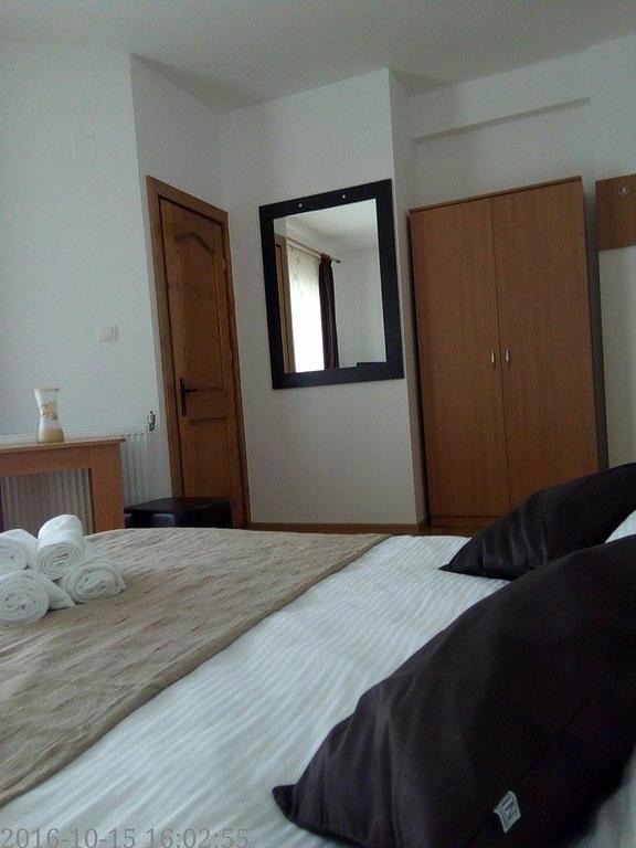 Pensiunea Codruta Cărpinişu Esterno foto