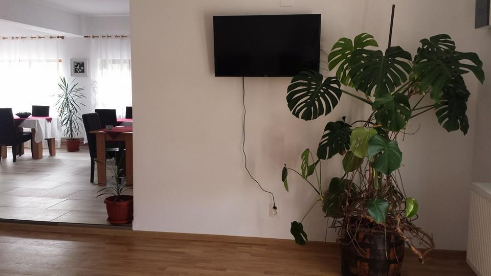 Pensiunea Codruta Cărpinişu Esterno foto