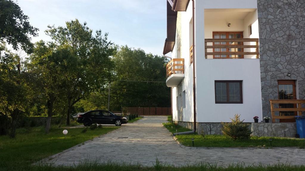 Pensiunea Codruta Cărpinişu Esterno foto