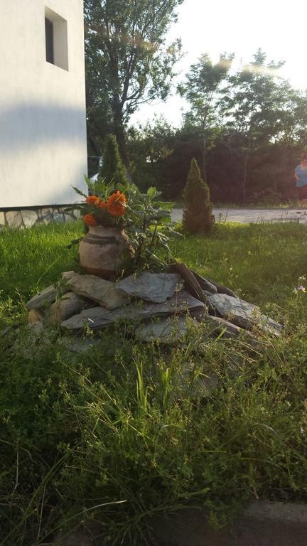 Pensiunea Codruta Cărpinişu Esterno foto