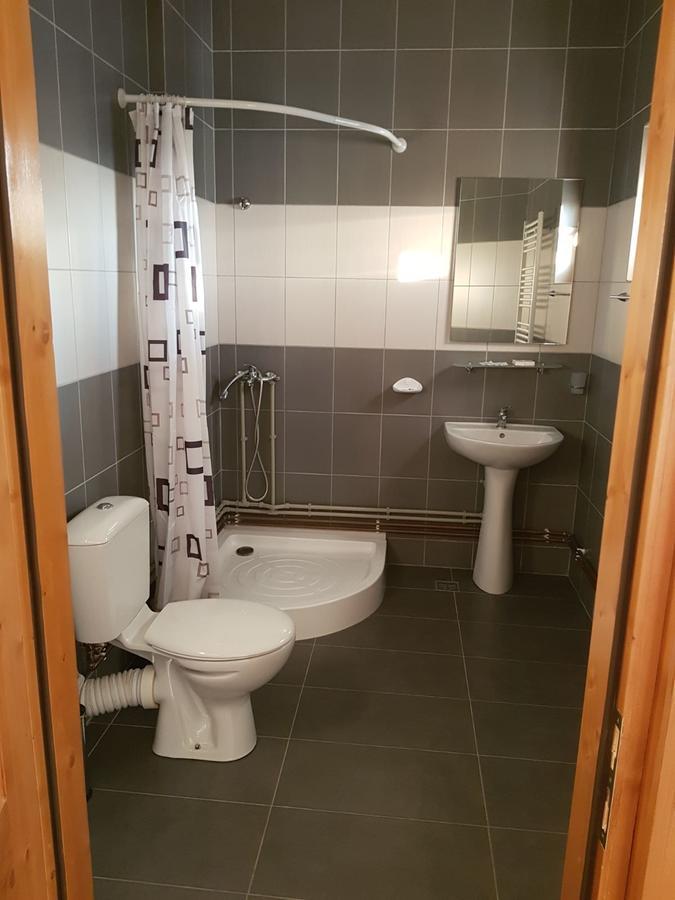 Pensiunea Codruta Cărpinişu Esterno foto
