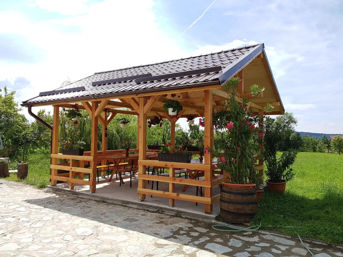 Pensiunea Codruta Cărpinişu Esterno foto