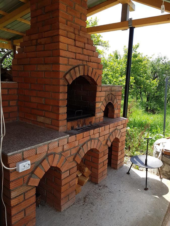 Pensiunea Codruta Cărpinişu Esterno foto