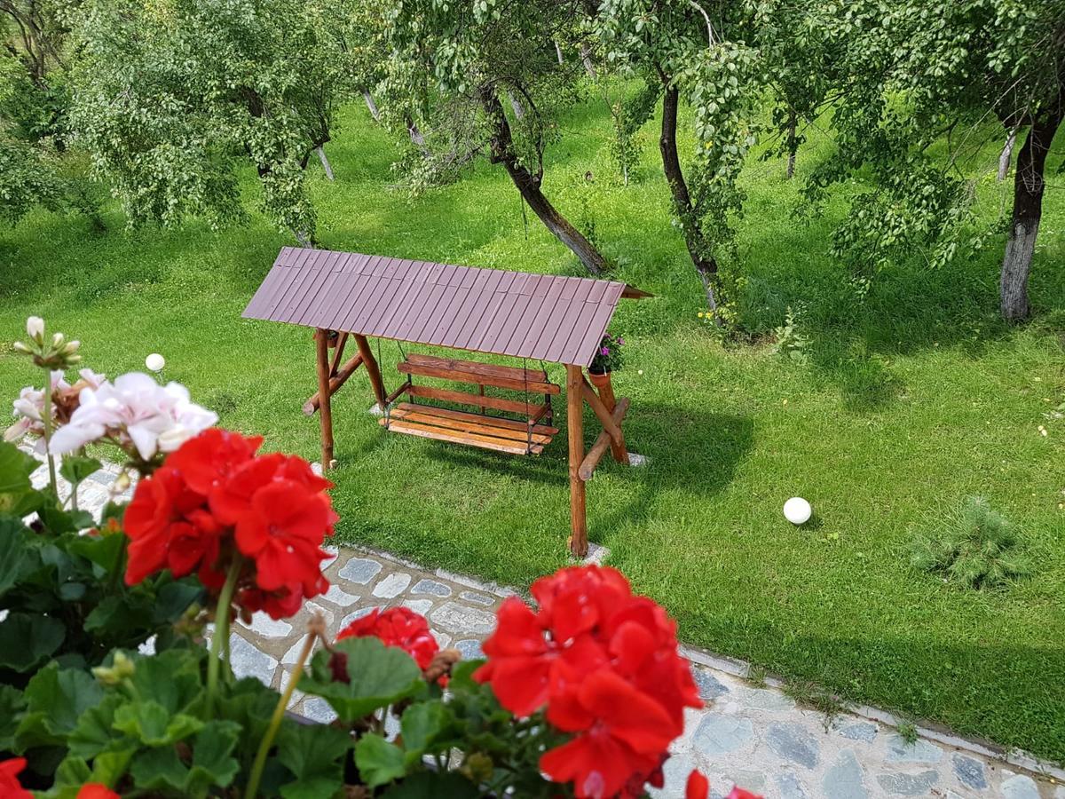 Pensiunea Codruta Cărpinişu Esterno foto