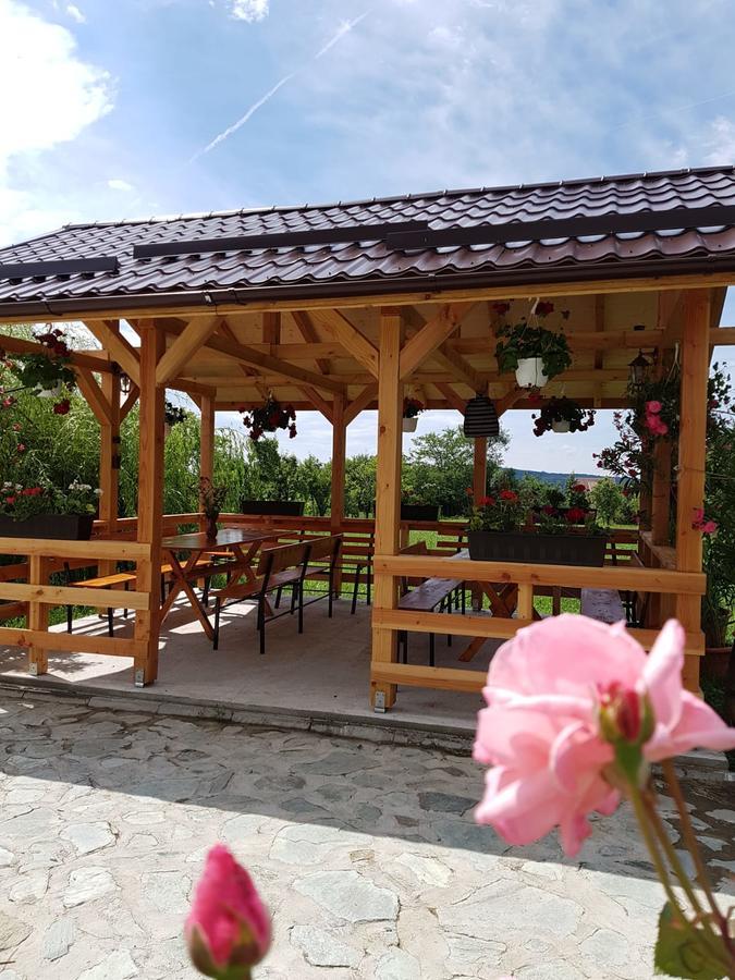 Pensiunea Codruta Cărpinişu Esterno foto